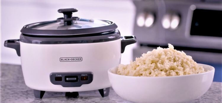 The best stainless steel rice cooker